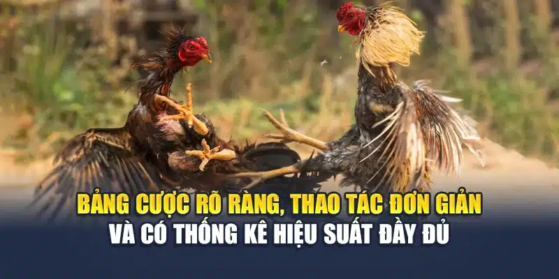 Bảng cược rõ ràng, thao tác đơn giản và có thống kê hiệu suất đầy đủ