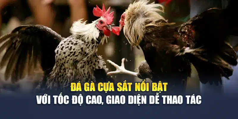 Đá gà cựa sắt nổi bật với tốc độ cao, giao diện dễ thao tác